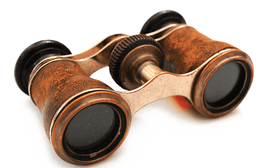 Brass binoculars